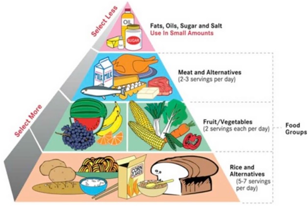 How To Keep A Healthy Diet Chart 3231