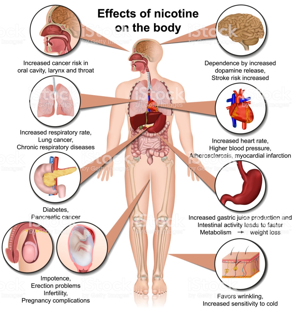 Can Nicotine Affect Heart Rate